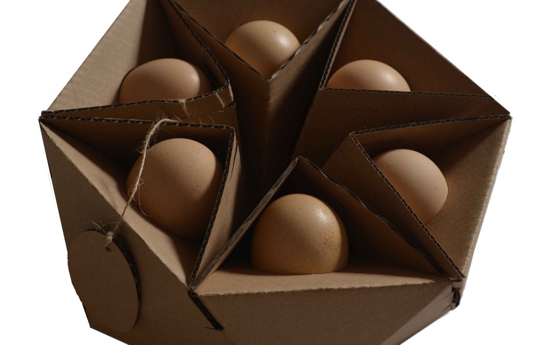 بسته بندی تخم مرغ ارگانیک